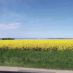 Awesome In * Boiensdorf